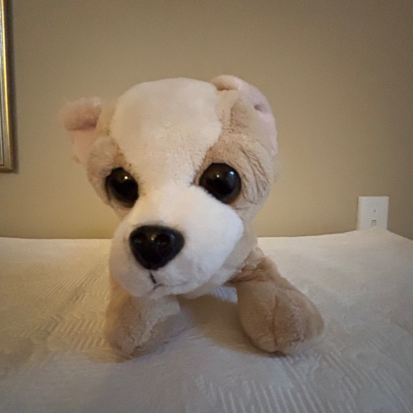 GANZ Webkinz Chihuahua, HM104, No code - Picture 1 of 3